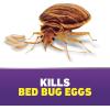 imageOrtho 465705 Home Defense Max Bed Bug Trap 2Pack Use in Your House or When Traveling Part of a 3Step Solution SystemAerosol