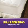 imageOrtho 465705 Home Defense Max Bed Bug Trap 2Pack Use in Your House or When Traveling Part of a 3Step Solution SystemAerosol