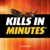 imageOrtho Ant Killer2 Step Bundle