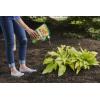 imageOrtho BugGeta Snail and Slug Killer 35Pound6 lb