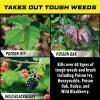 imageOrtho GroundClear Poison Ivy ampamp Tough Brush Killer  Ready to Use with Comfort Wand Poison Ivy Killer Also Kills Poison Oak Kudzu Wild Blackberry Vines ampamp More 133 galConcentrate
