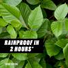 imageOrtho GroundClear Poison Ivy ampamp Tough Brush Killer2  Weed Killer Concentrate 32 fl oz