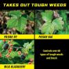 imageOrtho GroundClear Poison Ivy ampamp Tough Brush Killer2  Weed Killer Concentrate 32 fl oz