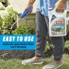 imageOrtho GroundClear Super Weed ampamp Grass Killer1 Refill FastActing See Results in Hours For Patios and Landscaped Areas 1 gal
