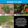 imageOrtho GroundClear Super Weed ampamp Grass Killer1 Refill FastActing See Results in Hours For Patios and Landscaped Areas 1 gal