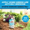 imageOrtho GroundClear Weed ampamp Grass Killer Super Concentrate1 Refill Pouch 2 x 5 fl oz Pouches5 fl oz Pack of 4