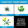 imageOrtho GroundClear Weed ampamp Grass Killer Super Concentrate1 Refill Pouch 2 x 5 fl oz Pouches5 fl oz Pack of 4
