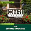 imageOrtho GroundClear Weed and Grass Killer with Comfort Wand Kills Dandelions Chickweed Crabgrass Moss and More in Patios and Landscapes OMRI Listed 1 galComfort Wand