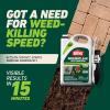 imageOrtho GroundClear Weed and Grass Killer with Comfort Wand Kills Dandelions Chickweed Crabgrass Moss and More in Patios and Landscapes OMRI Listed 1 galComfort Wand