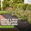 imageOrtho GroundClear Weed and Grass Killer with Comfort Wand Kills Dandelions Chickweed Crabgrass Moss and More in Patios and Landscapes OMRI Listed 1 galComfort Wand