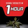 imageOrtho GroundClear Year Long Vegetation Killer Refill  Visible Results in 1 Hour Kills Weeds and Grasses to the Root Up to 1 Year of Weed and Grass Control 133 gal133 gal