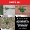 imageOrtho GroundClear Year Long Vegetation Killer Refill  Visible Results in 1 Hour Kills Weeds and Grasses to the Root Up to 1 Year of Weed and Grass Control 133 gal133 gal
