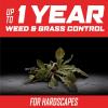 imageOrtho GroundClear Year Long Vegetation Killer Refill  Visible Results in 1 Hour Kills Weeds and Grasses to the Root Up to 1 Year of Weed and Grass Control 133 gal133 gal