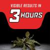 imageOrtho GroundClear Year Long Vegetation Killer1 Concentrate Kills Weeds and Grasses Prevents Unwanted Weeds and Grasses for up to 1 Year 2 gal1 gal