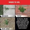 imageOrtho GroundClear Year Long Vegetation Killer1 Concentrate Kills Weeds and Grasses Prevents Unwanted Weeds and Grasses for up to 1 Year 2 gal1 gal