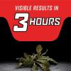 imageOrtho GroundClear Year Long Vegetation Killer1 Concentrate Kills Weeds and Grasses Prevents Unwanted Weeds and Grasses for up to 1 Year 2 gal2 gal
