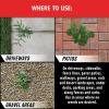 imageOrtho GroundClear Year Long Vegetation Killer1 Concentrate Kills Weeds and Grasses Prevents Unwanted Weeds and Grasses for up to 1 Year 2 gal32 fl oz 2Pack