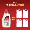imageOrtho Home Defense Insect Killer for Indoor ampamp Perimeter2 With Comfort Wand Kills Ants Cockroaches Spiders Fleas ampamp Ticks Odor Free 11 gal Pack of 432 oz