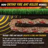 imageOrtho Orthene Fire Ant Killer1 Kills the Queen and Destroys Mounds Begins Working in 60 minutes 12 oz 2Pack115 LB