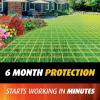 imageOrtho Orthene Fire Ant Killer1 Kills the Queen and Destroys Mounds Begins Working in 60 minutes 12 oz 2Pack115 LB