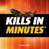 imageOrtho Orthene Fire Ant Killer1 Kills the Queen and Destroys Mounds Begins Working in 60 minutes 12 oz 2Pack2  12 OZ Bottles