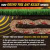 imageOrtho Orthene Fire Ant Killer1 Kills the Queen and Destroys Mounds Begins Working in 60 minutes 12 oz 2Pack3 LB