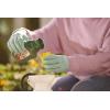 imageOrtho Rose ampamp Flower Disease Control Concentrate 16 oz