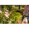 imageOrtho Rose ampamp Flower Disease Control Concentrate 16 oz