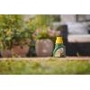 imageOrtho Tree ampamp Shrub Fruit Tree Spray 16Ounce1 Pack