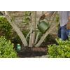 imageOrtho Tree ampamp Shrub Fruit Tree Spray 16Ounce6 Pack