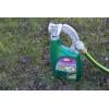 imageOrtho Weed B Gon Chickweed Clover and Oxalis Killer for Lawns ReadyToSpray Kills Creeping Charlie 32 fl ozReady to Spray