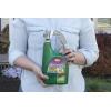 imageOrtho Weed B Gon Chickweed Clover and Oxalis Killer for Lawns ReadyToSpray Kills Creeping Charlie 32 fl ozReady to Spray