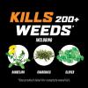 imageOrtho WeedClear Lawn Weed Killer Ready to Use with Comfort Wand For Northern Lawns 133 gal32 oz