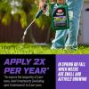 imageOrtho WeedClear Lawn Weed Killer ReadytoUse1 with Comfort Wand South Kills Dandelion and Clover 1 galRefill
