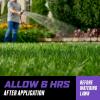 imageOrtho WeedClear Lawn Weed Killer ReadytoUse1 with Comfort Wand South Kills Dandelion and Clover 1 galRefill
