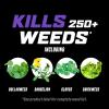 imageOrtho WeedClear Lawn Weed Killer ReadytoUse1 with Comfort Wand South Kills Dandelion and Clover 1 galRefill
