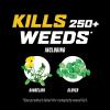 imageOrtho WeedClear Weed Killer for Lawns with Comfort Wand Kills More than 250 Weeds including Dandelion and Clover 1 gal32 oz