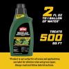 imageOrtho WeedClear Weed Killer for Lawns with Comfort Wand Kills More than 250 Weeds including Dandelion and Clover 1 gal32 oz