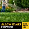 imageOrtho WeedClear Weed Killer for Lawns with Comfort Wand Kills More than 250 Weeds including Dandelion and Clover 1 gal32 oz