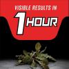imageOrtho GroundClear Year Long Vegetation Killer2 Concentrate Kills and Prevents Weeds Up to 1 Year 2 gal1 gal
