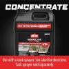 imageOrtho GroundClear Year Long Vegetation Killer2 Concentrate Kills and Prevents Weeds Up to 1 Year 2 gal2 gal